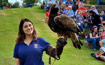 Raptor Show
